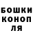 Конопля гибрид ALIHAN KOT